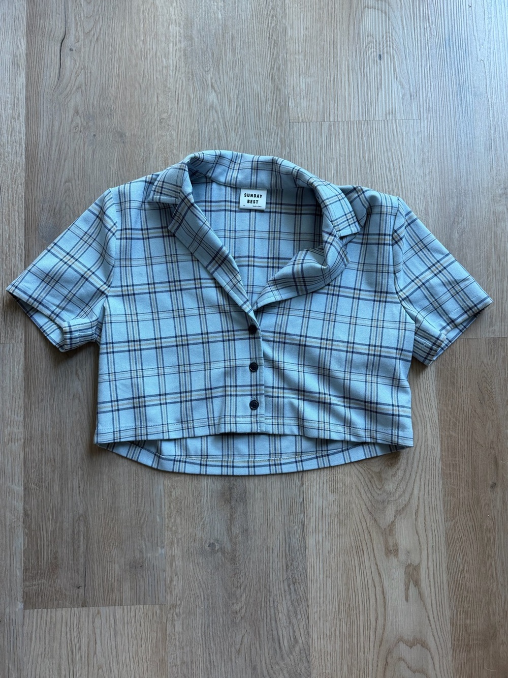Aritzia (Sunday Best) Blue Plaid Button-Up Shirt with Navy & Tan Accents
